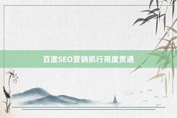 百度SEO营销抓行用度贯通