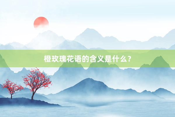 橙玫瑰花语的含义是什么？